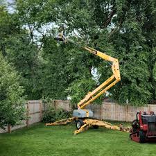 Loma Linda, CA Tree Care Company