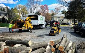 Best Utility Line Clearance  in Loma Linda, CA
