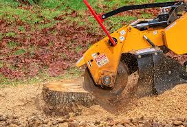 Best Pest Control for Lawns  in Loma Linda, CA